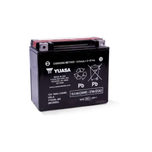 Yuasa YTX20L-BS Maintenance Free AGM 12-Volt Battery w/Bottle