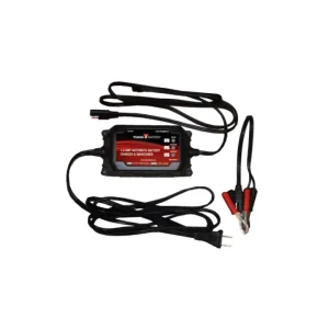 Yuasa YTX14-BS Maintenance Free AGM 12-Volt Battery w/Bottle